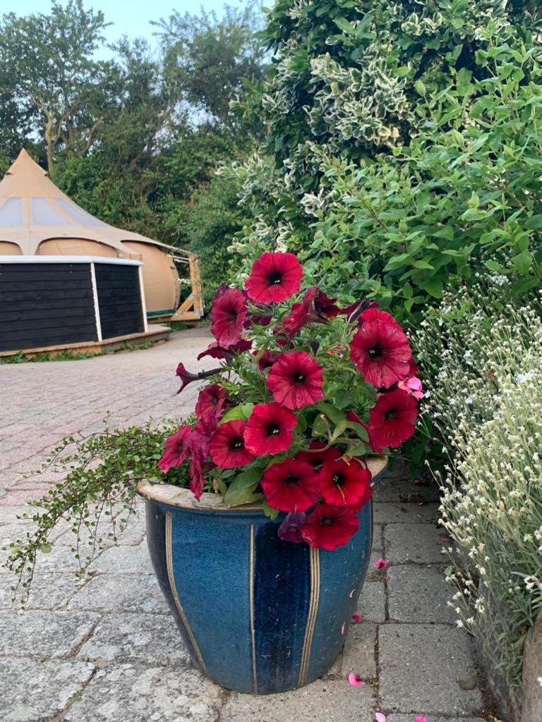 Romantic Luxus Glamping 1 Idestrup Εξωτερικό φωτογραφία